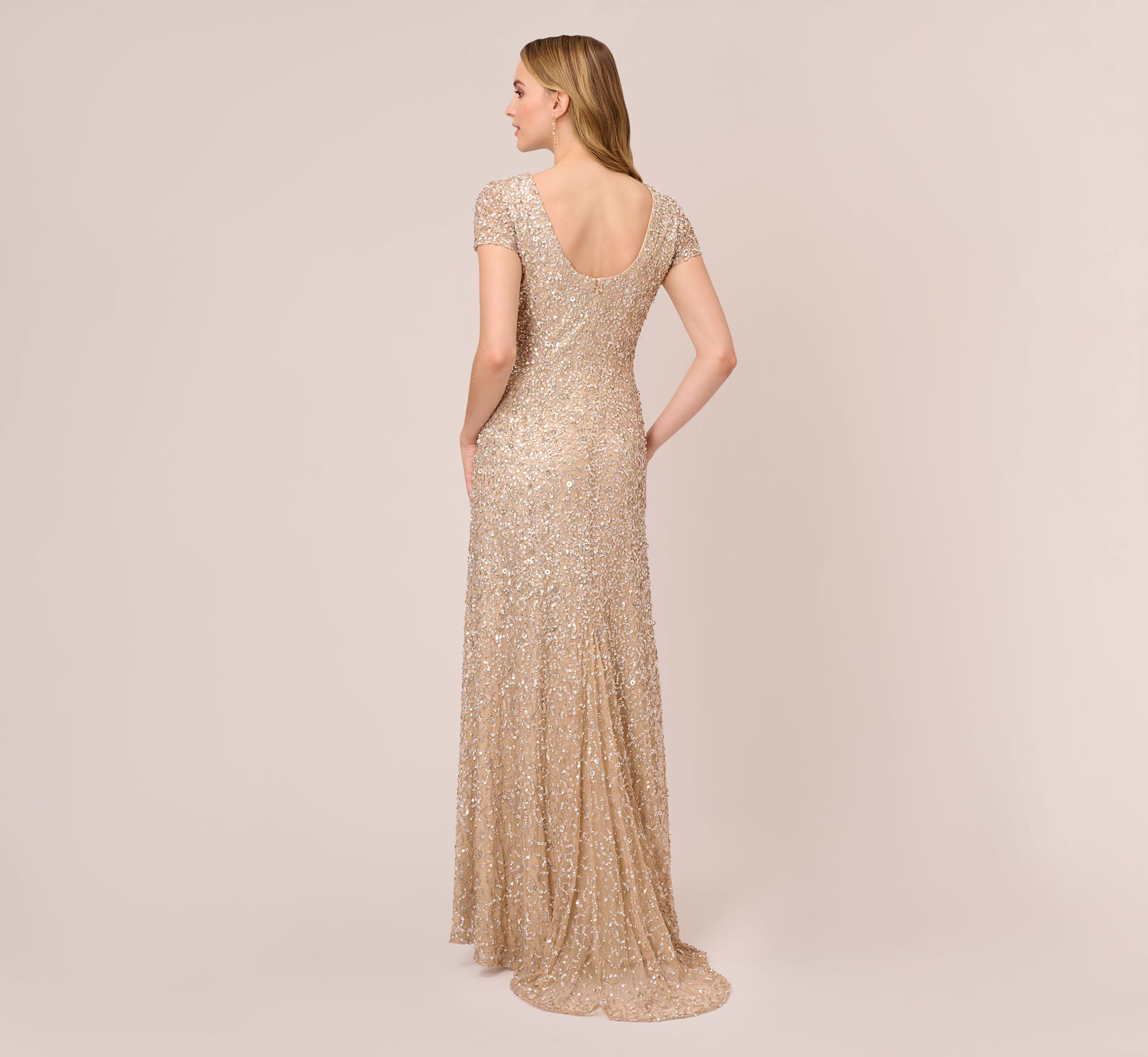 Adrianna papell outlet sequin mesh gown