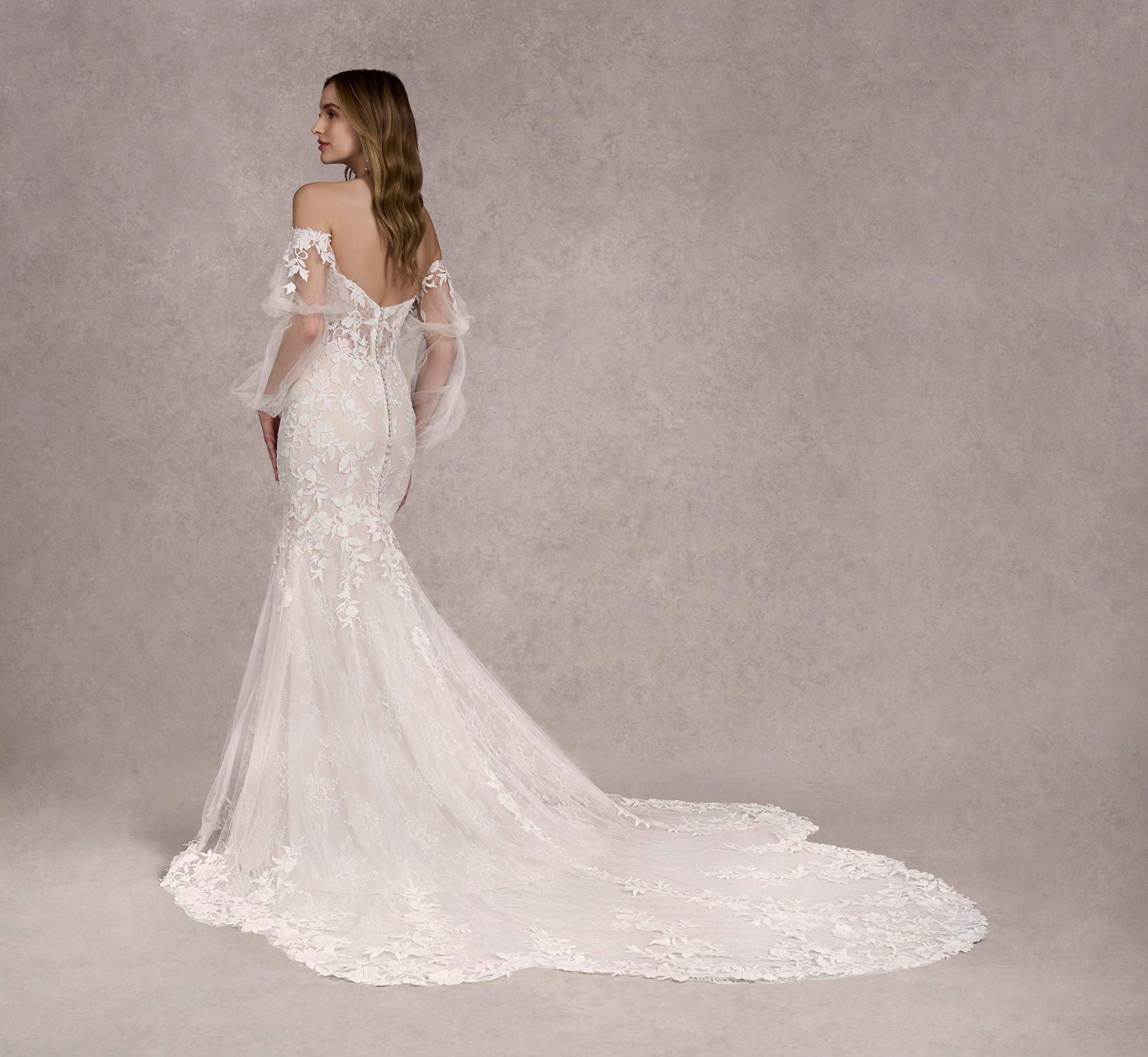 Allover Lace And Tulle Gown With Detachable Sleeves In Ivory