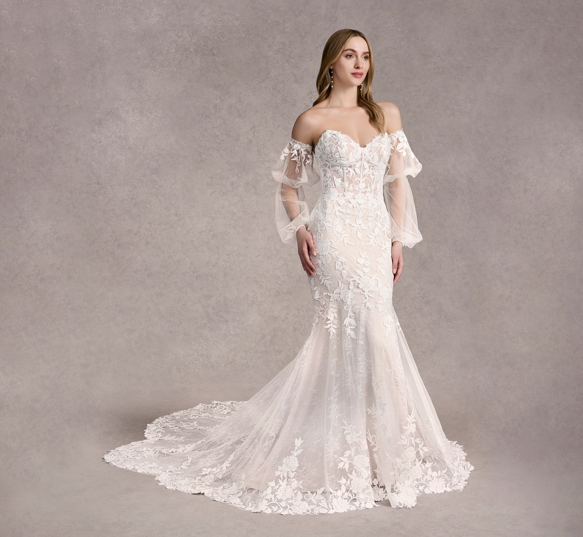 Allover Lace And Tulle Gown With Detachable Sleeves In Ivory