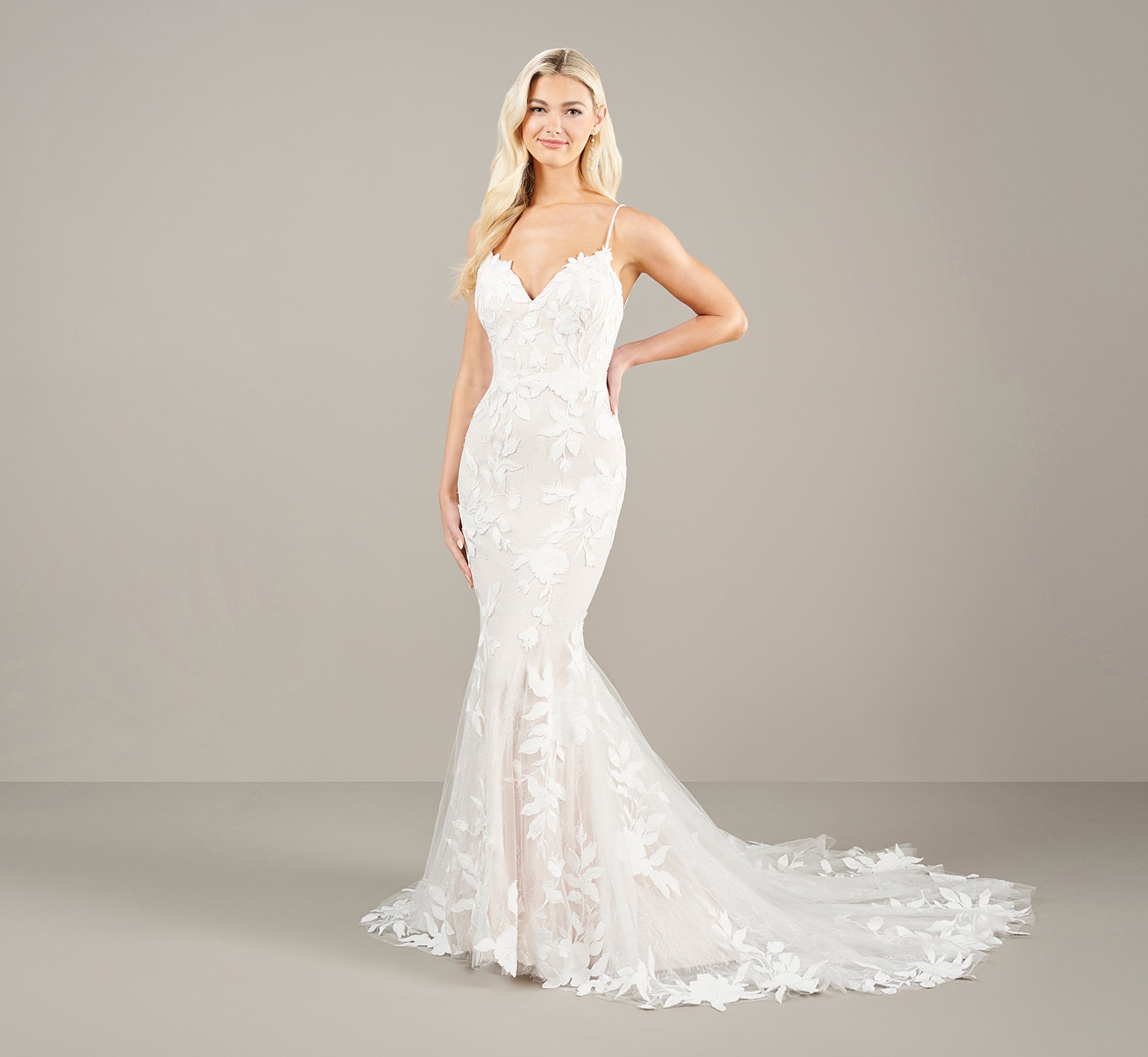 Enchanting Embroidered Lace Applique Wedding Gown In Ivory French