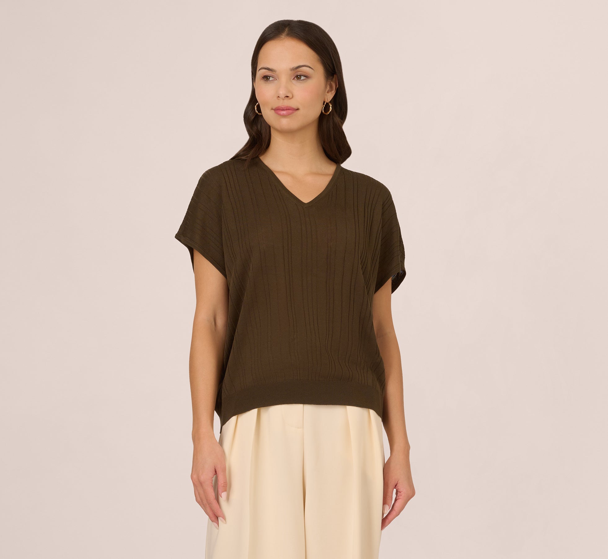 Short Sleeve Lightweight Rib Knit Sweater Top In Chocolate Walnut 1