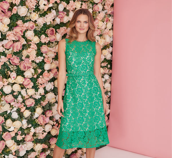 Sleeveless Lace Fit And Flare Dress With Sheer Details In Botanic Gree –  Adrianna Papell